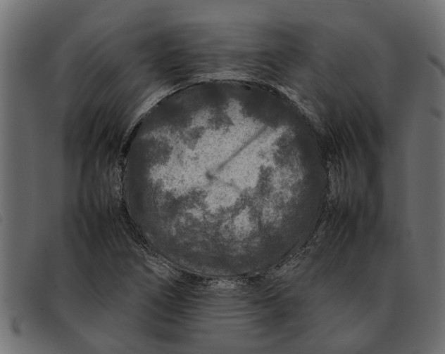 X0000092231266200710121210