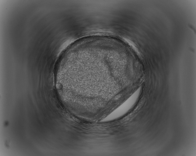 X0000092231267200710121210