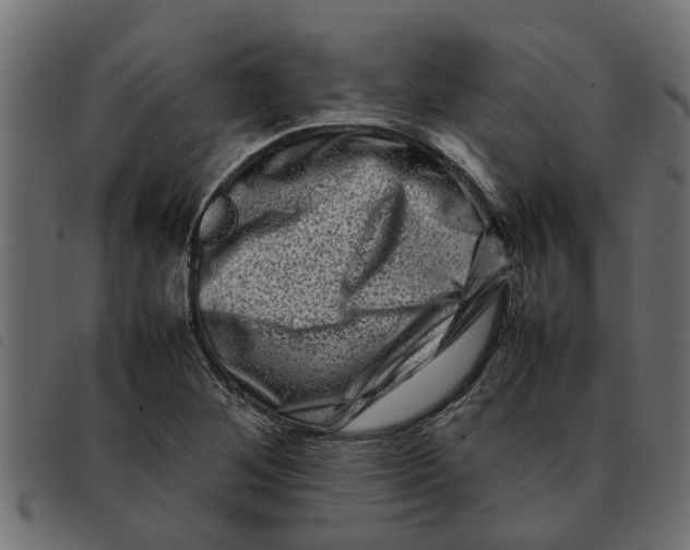 X0000092231268200710121210