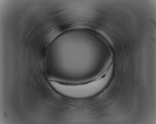 X0000092231273200710121210