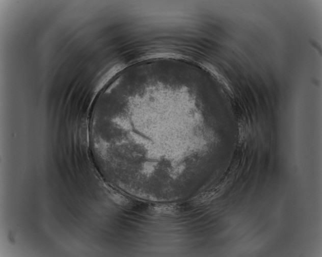 X0000092231274200710121210