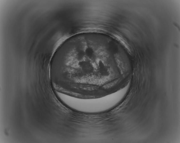 X0000092231275200710121210