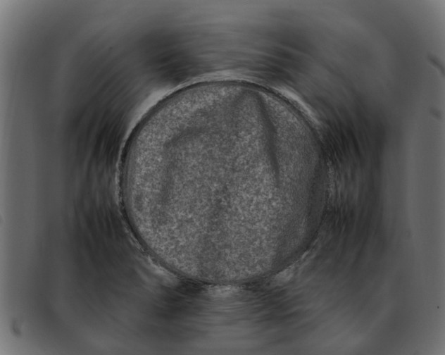 X0000092231278200710121210