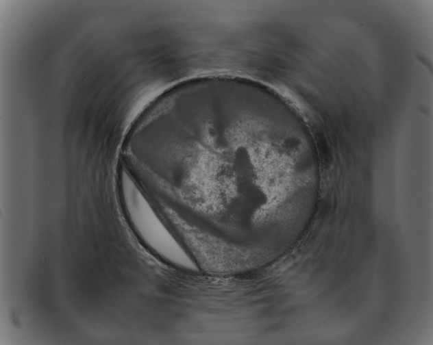 X0000092231279200710121210