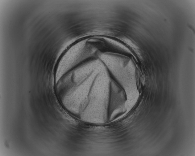 X0000092231280200710121210