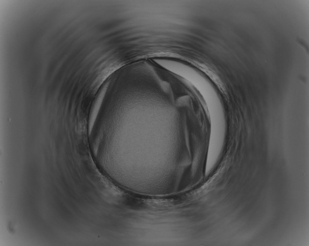 X0000092231281200710121210