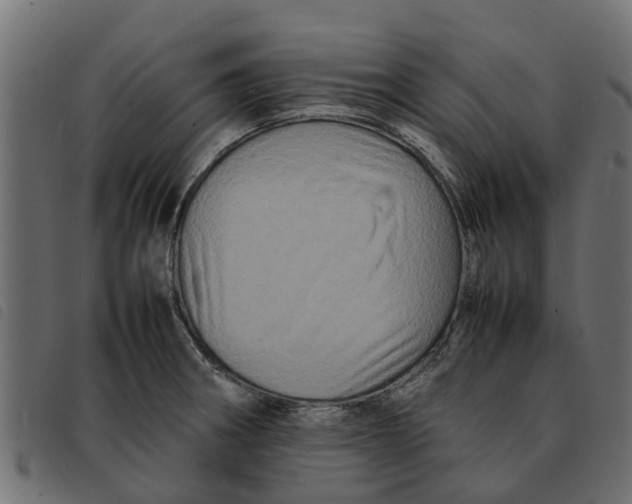 X0000092231282200710121210