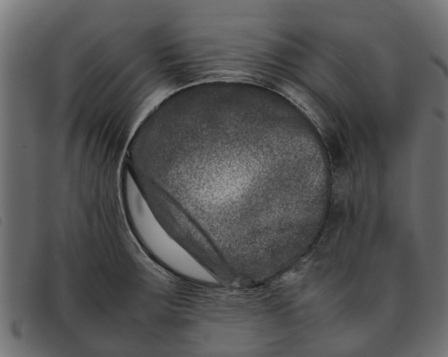 X0000092231283200710121210