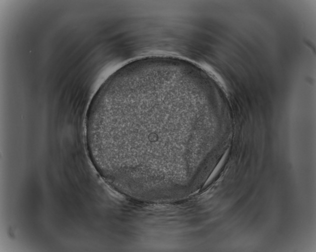 X0000092231287200710121210