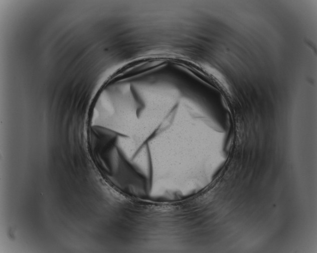 X0000092231288200710121210