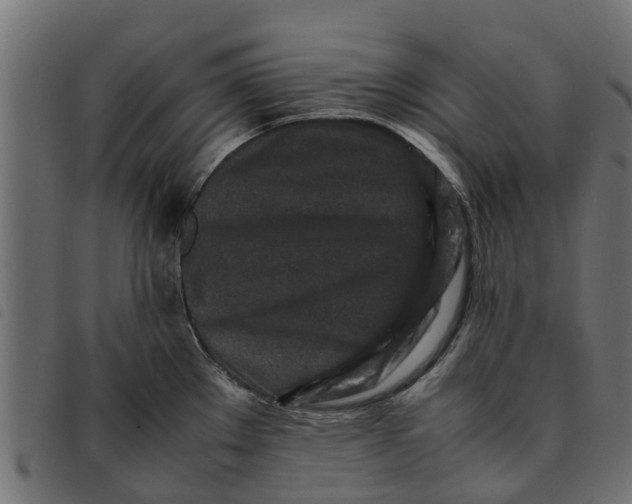 X0000092231289200710121210