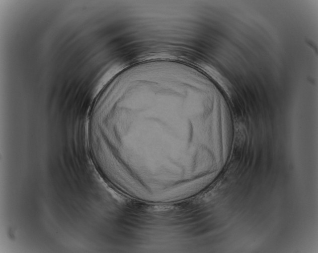 X0000092231290200710121210