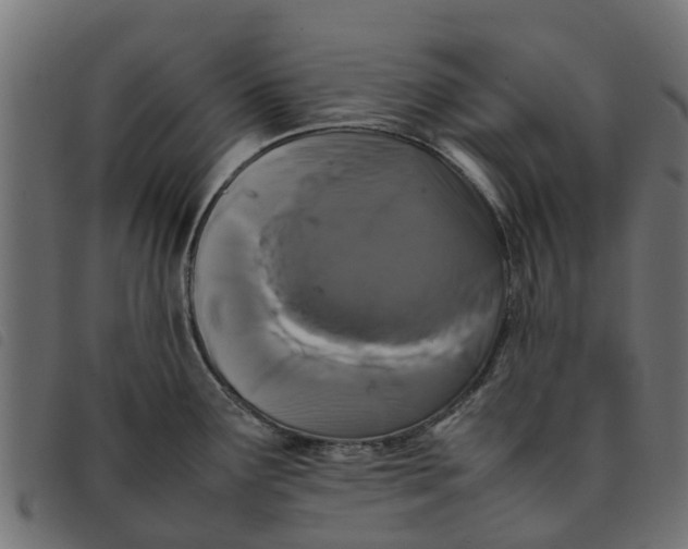 X0000092231291200710121210