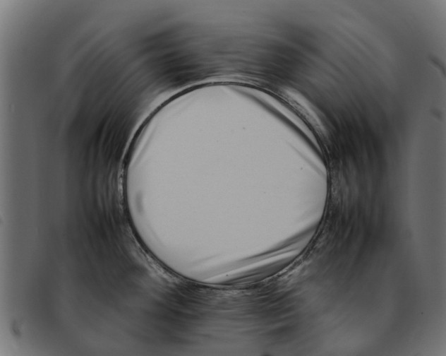 X0000092231292200710121210