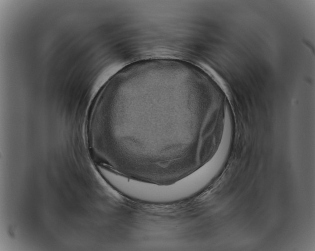 X0000092231293200710121210