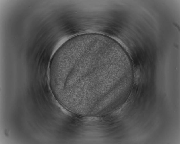 X0000092231294200710121210