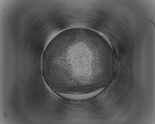 X0000092231295200710121210