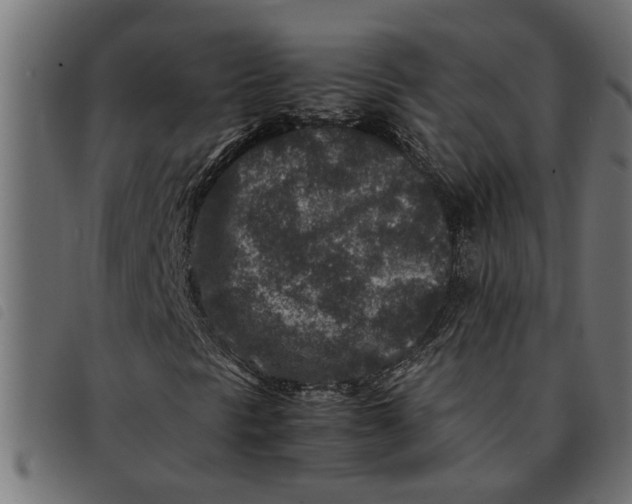 X0000092231297200710121209