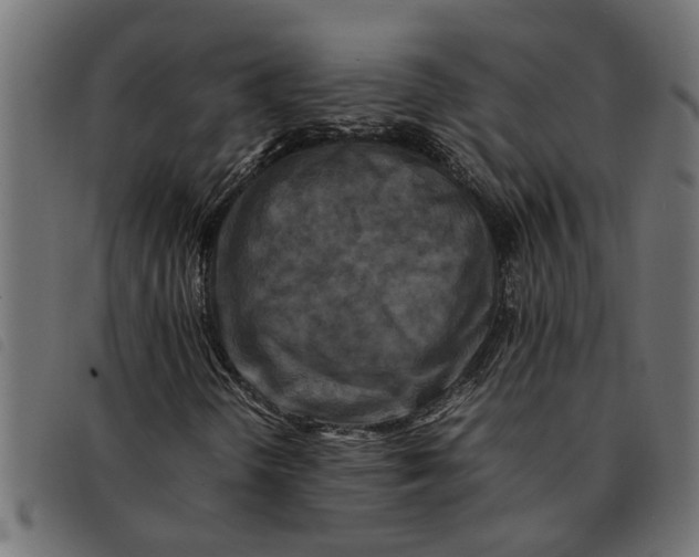 X0000092231298200710121209