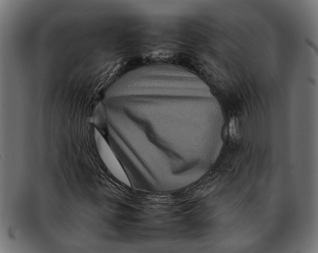 X0000092231299200710121209