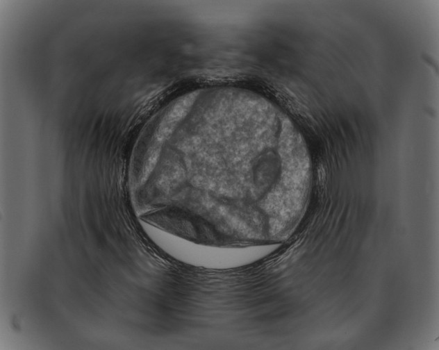 X0000092231300200710121209