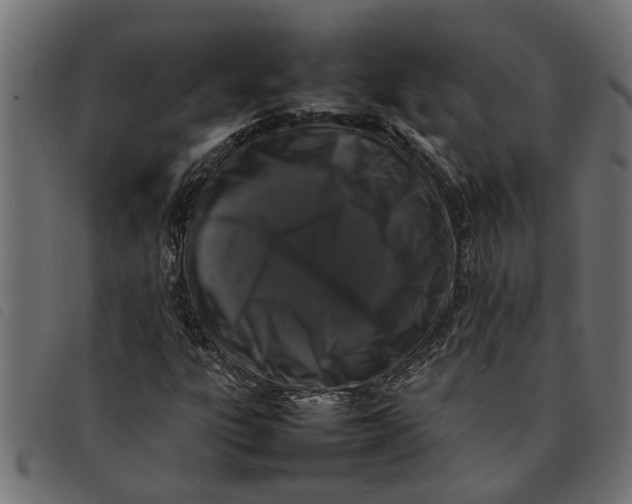 X0000092231303200710121209