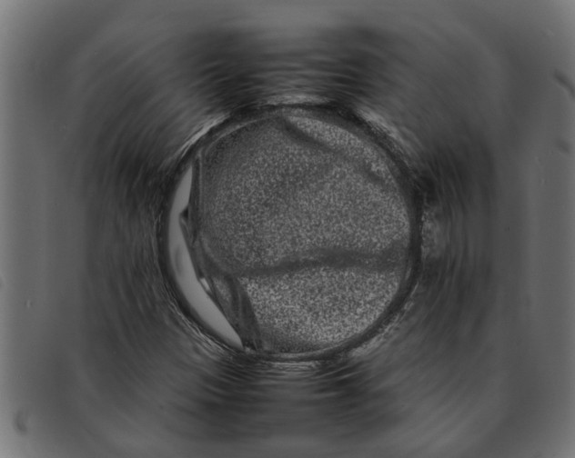 X0000092231305200710121209