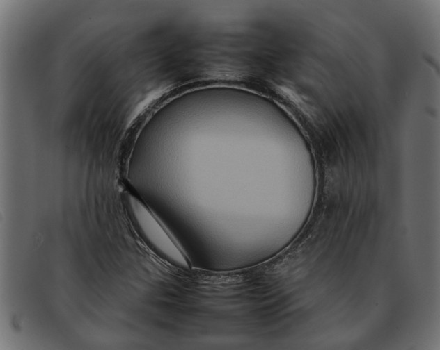 X0000092231307200710121209