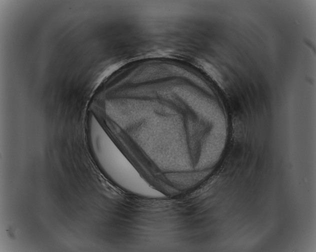 X0000092231308200710121209