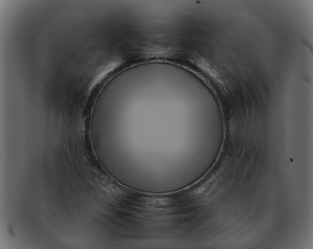 X0000092231309200710121209