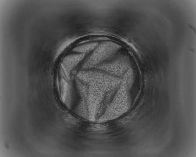 X0000092231311200710121209