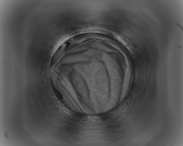 X0000092231312200710121209