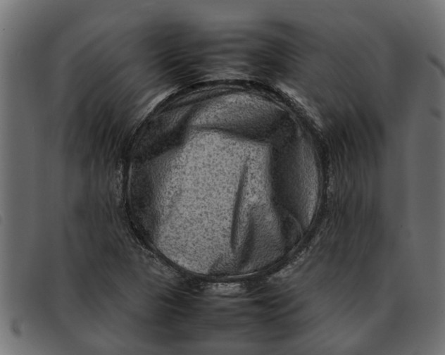 X0000092231313200710121209