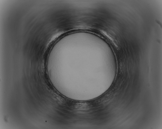 X0000092231315200710121209