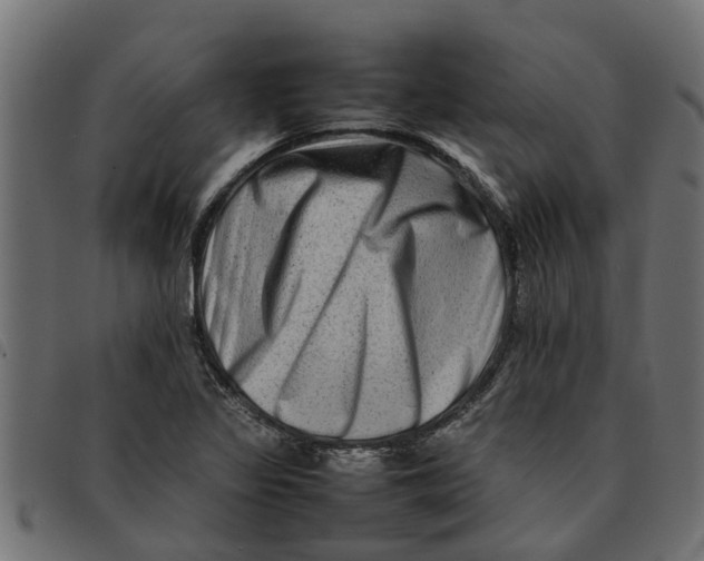 X0000092231317200710121209