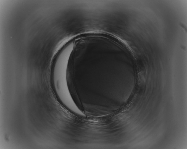 X0000092231319200710121209