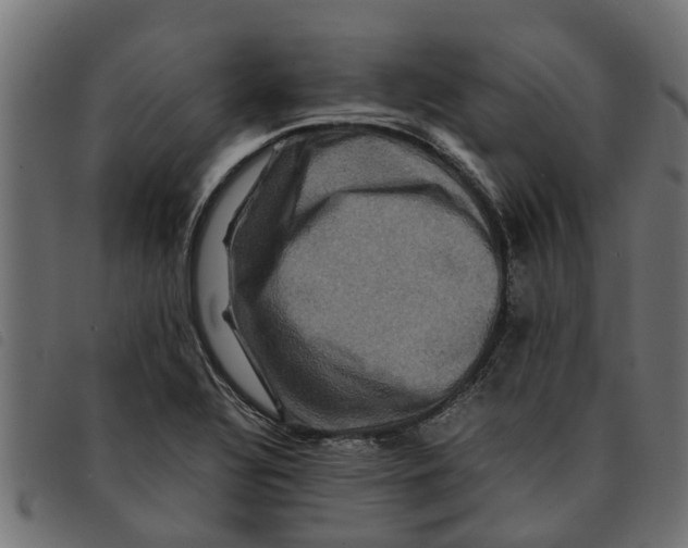 X0000092231320200710121209