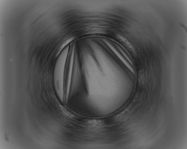 X0000092231321200710121209