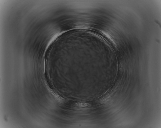 X0000092231323200710121209