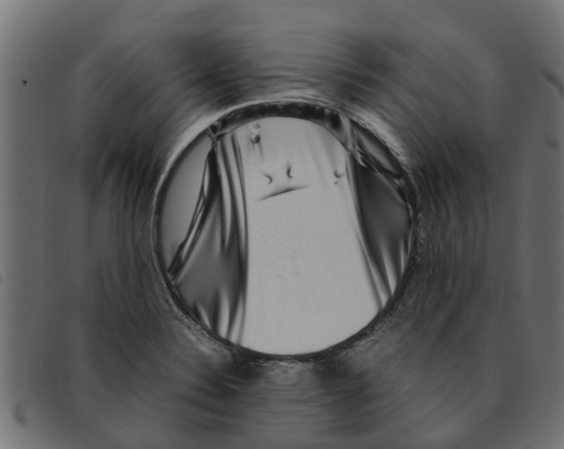 X0000092231324200710121209