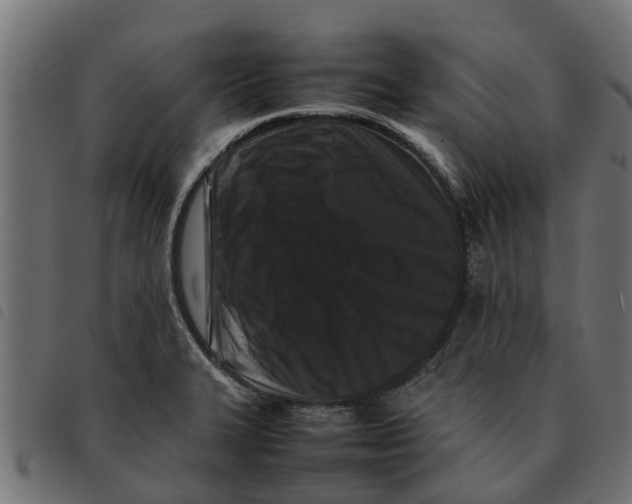 X0000092231327200710121210