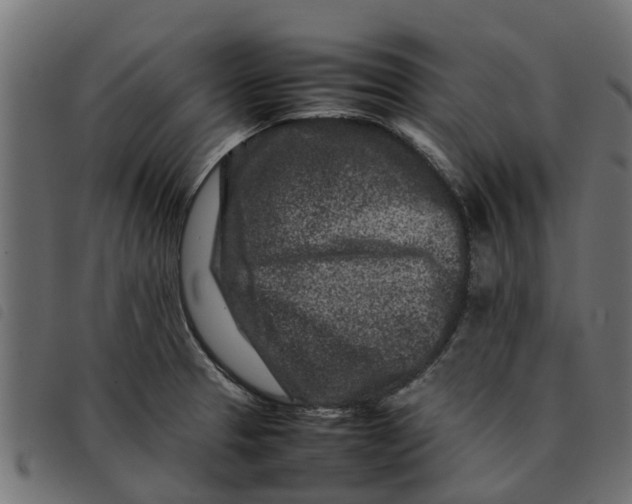 X0000092231329200710121210