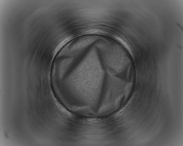 X0000092231330200710121210