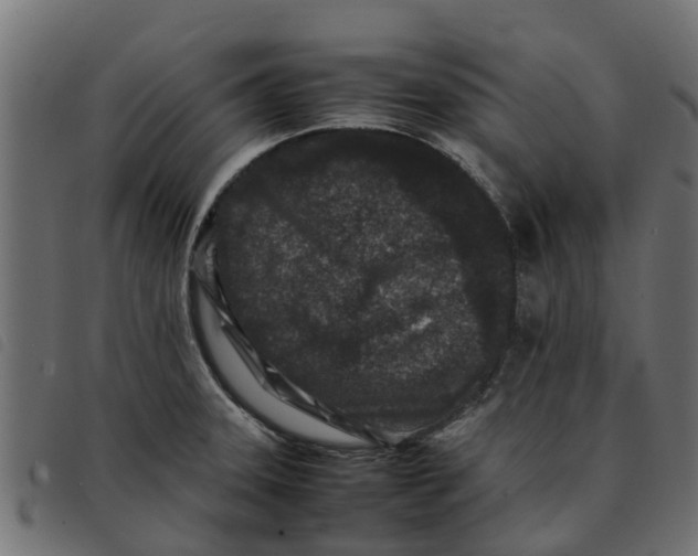 X0000092231331200710121210