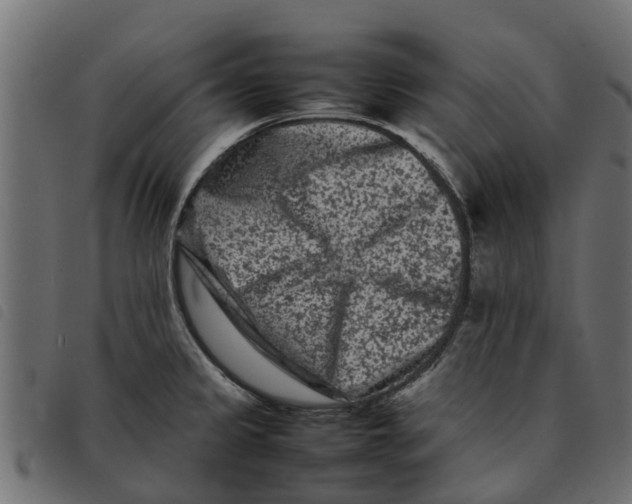 X0000092231333200710121210