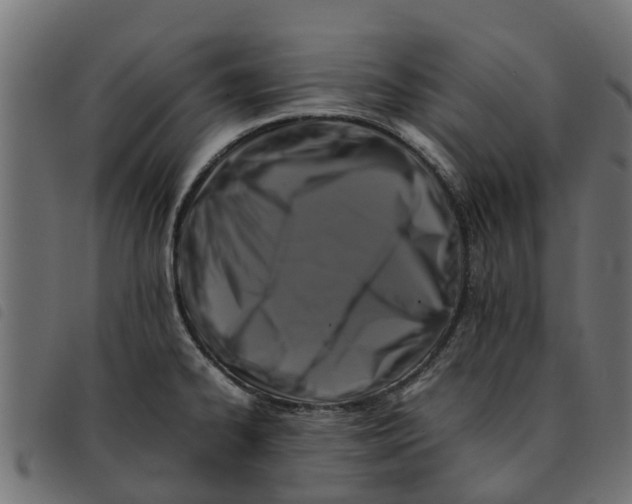 X0000092231334200710121210