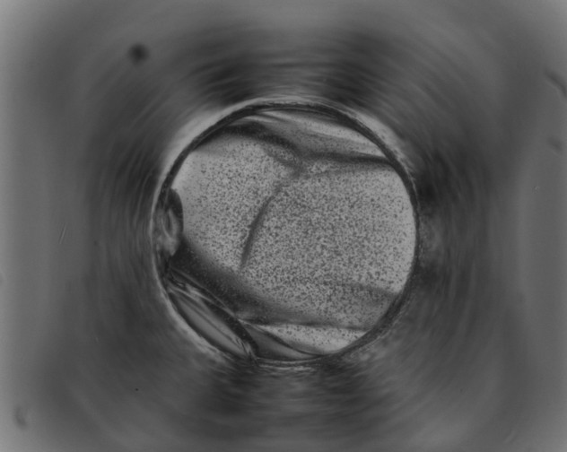 X0000092231335200710121210