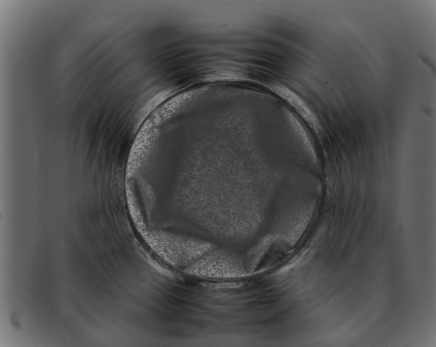 X0000092231337200710121210