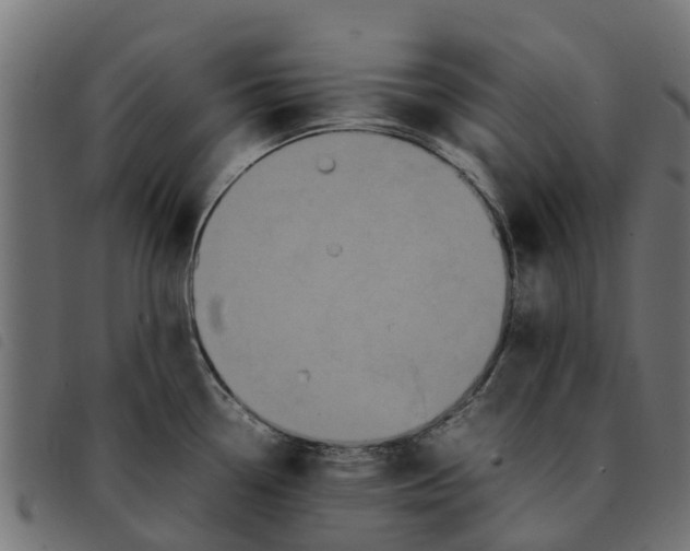 X0000092231338200710121210