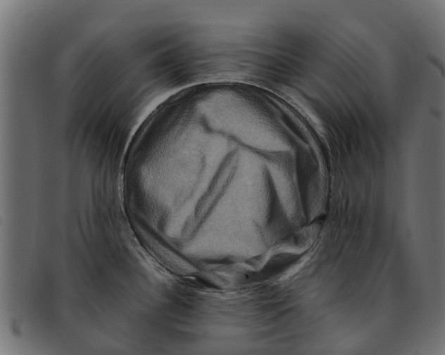 X0000092231340200710121210